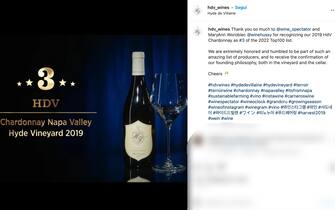 Vino Vino