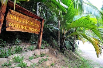View a sign at Vallee de Mai forest, a UNESCO World Heritage site, in Praslin island on March 6, 2012. AFP PHOTO / ALBERTO PIZZOLI (Photo credit should read ALBERTO PIZZOLI/AFP via Getty Images)