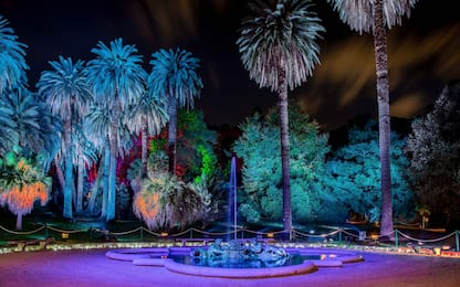 Incanto di luci, la light art illumina l'Orto botanico di Roma