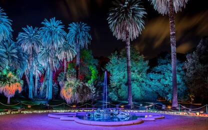 Incanto di luci, la light art illumina l'Orto botanico di Roma