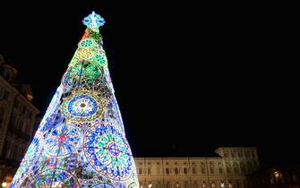 Trin (Piedmont, Italy): Piazza Castello, main square of the city, illuminated by the christmas tree at night, with Palazzo Reale on the background
