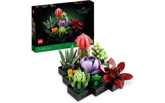 LEGO-Set piante grasse - 1
