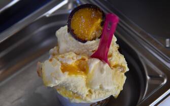 Presentata la giornata europea del gelato artigianale del 24 marzo, dove il gusto scelto per l'edizione 2021  e' il "Mantecado", crema antica alla vaniglia, con salsa alle arance e scaglie di cioccolato. Nella foto la variante ligure con arance pernambucco del ponente ligure. Genova, 23 marzo 2021.
ANSA/LUCA ZENNARO