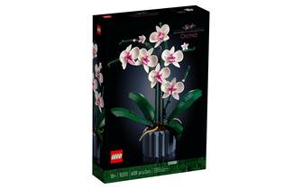 San Valentino-lei-orchidea lego - 1