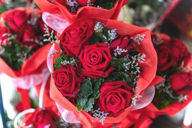 Close-up of Roses Bouquet, Nuremberg City, Bavaria, Franconia, Germany, Europe