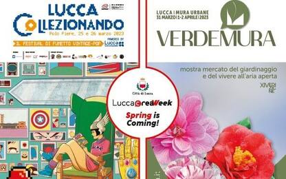 Tra fumetti e giardinaggio, torna la Lucca Crea Week