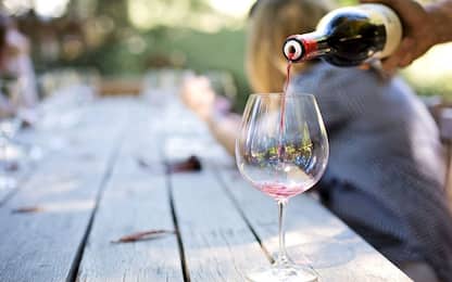 I 10 vini italiani più cercati sul web: la classifica di Wine Searcher