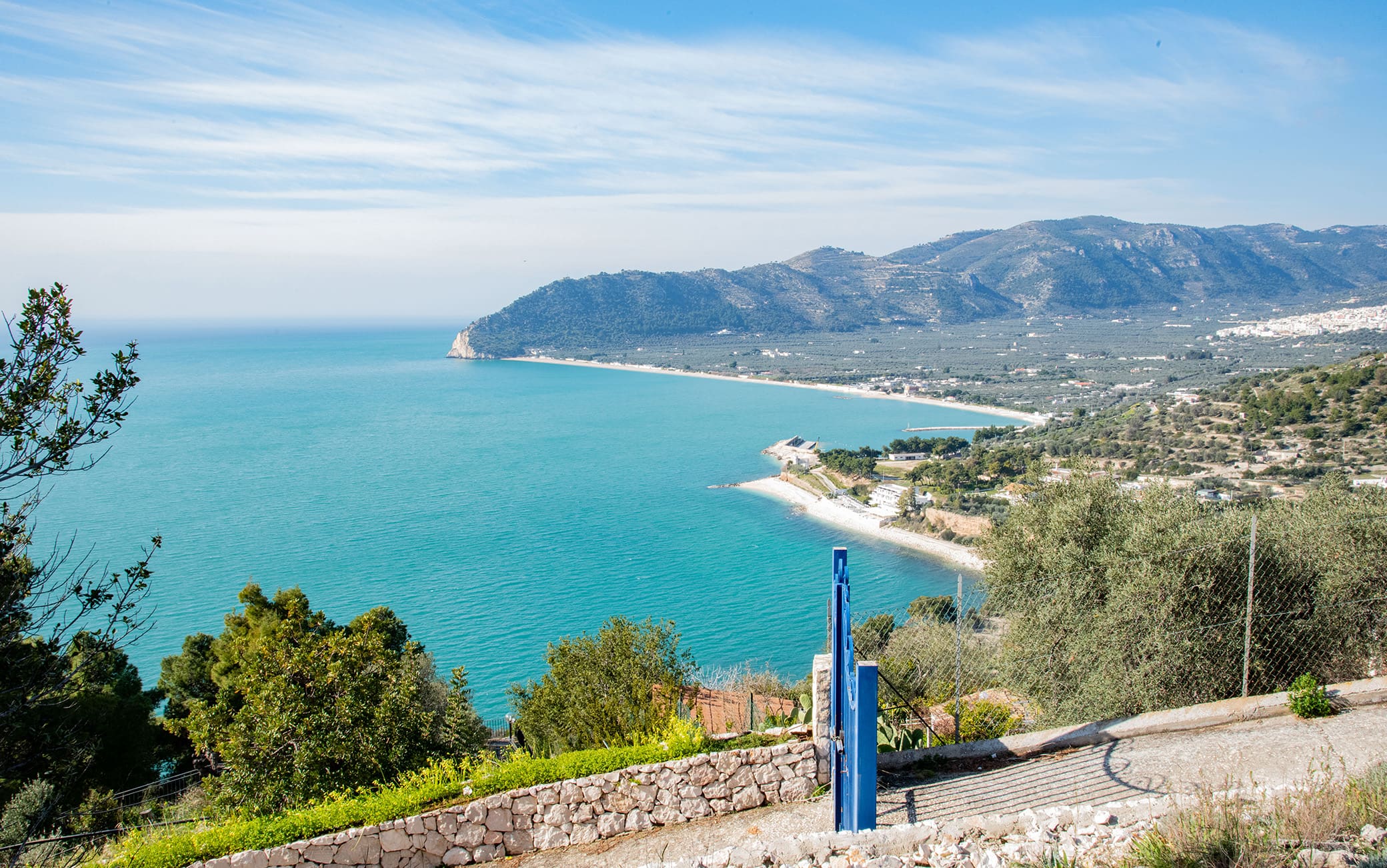 Mattinata diventa la capitale delle orchidee selvatiche dal 22 al 25