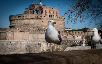 Tourists visit Castel Sant'Angelo on January 30, 2023 in Rome, Italy. (Photo by Andrea Ronchini/NurPhoto