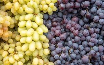 White and red wine fresh healthy grape fruits