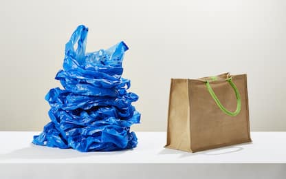 Giornata internazionale senza sacchetti di plastica, le alternative