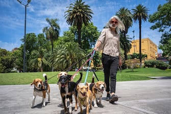 Mid adult pet sitter with big group of dogs walking at public park