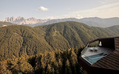 Camera vista bosco, dove dormire tra gli alberi dell'Alto Adige