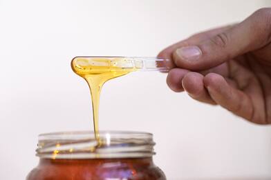 Europarlamento, origine succhi e miele: arriva la direttiva colazione