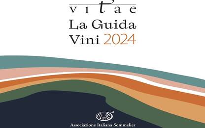 Vitae 2024, viaggio tra i tesori vitivinicoli più preziosi d’Italia