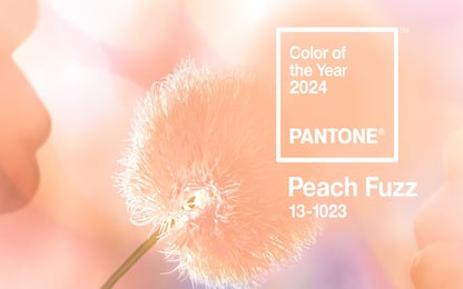 Pantone 2024, Peach Fuzz è il colore dell’anno
