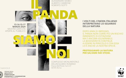 "Il Panda siamo noi", mostra fotografica del WWF a Roma: date e orari