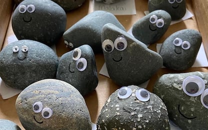 I millennials adottano pietre contro la solitudine: il trend pet rocks