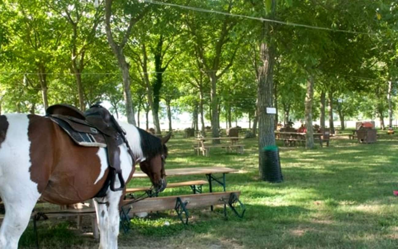 Picnic, le migliori aree attrezzate nei dintorni di Napoli e in