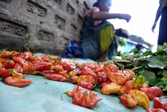 A tribal vendor displays 'Bhut Jolokia', claimed to be the worldï¿½s hottest chilli, at a local market in Guwahati, the capital city of the northeastern state of Assam on July 1, 2009. Indian soldiers will hurl hand grenades containing red chilli powder to dispel rioters instead of the potentially lethal explosives currently used, an official has said.   Scientists of the research wing in the defence ministry say the grenade will be made using a chilli known as Bhut Jolokia, grown in the northeastern state of Nagaland.  Pepper spray and tear gas are commonly used as crowd deterrents in India.  AFP PHOTO/ Biju BORO (Photo credit should read BIJU BORO/AFP via Getty Images)