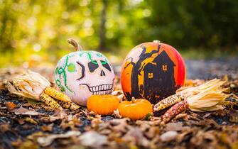 zucche halloween zucche halloween