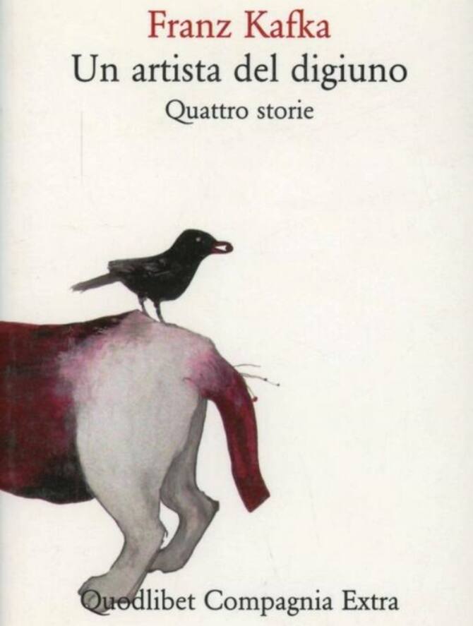 I migliori libri da leggere consigliati durante la rubrica “Incipit” di Sky  TG24