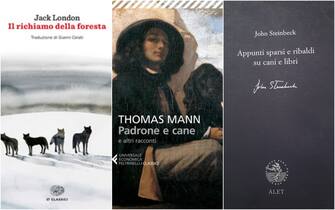 libri da leggere I libri consigliati da Michele Serra