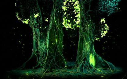 L'Orto Botanico di Palermo si illumina e diventa "Anima Mundi"