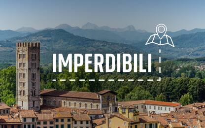Imperdibili, 15 cose da vedere a Lucca in un giorno