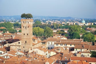 Torre Guinigi