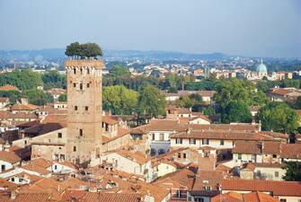 Torre Guinigi