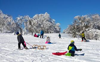 Children sledding in winter in snow enjoying sunny day