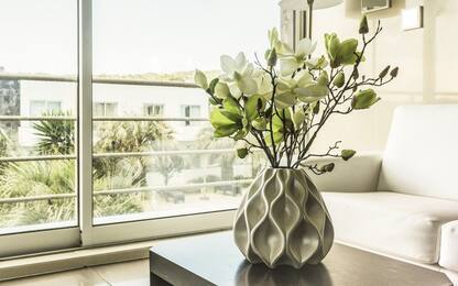 9 piante contro l'inquinamento che depurano l'aria a casa o in ufficio