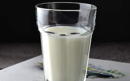 Latte e yogurt preziosi per la salute: raccomandate 3 dosi al giorno