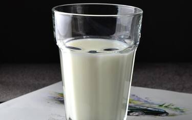latte