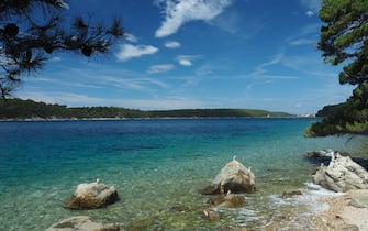 Rab island. Coast of the Adriatic Sea. Croatia. Europe. (Photo by: Marco Simonini/REDA&CO/Universal Images Group via Getty Images)