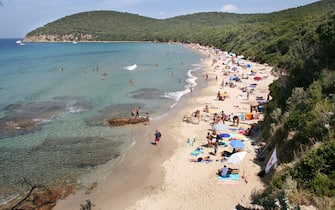 Toscana. Spiaggia Di Cala Violina. Gr. (Photo by: Stefano Cellai/REDA&CO/Universal Images Group via Getty Images)