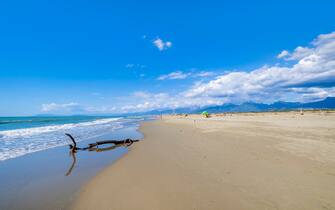 1386828553 Viareggio,spiaggia della lecciona,Parco migliarino san rossore massaciuccoli,CR,GR