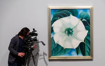 LONDON, ENGLAND - JULY 04:  Journalists view 'Jimson Weed/White Flower No.1' by American artist Georgia O'Keeffe at Tate Modern on July 4, 2016 in London, England.  The exhibition, the first UK exhibition of O'Keefe's work for over twenty years, is at Tate Modern from July 6th until October 30th, 2016.  (Photo by Rob Stothard/Getty Images)