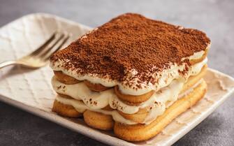 Homemade tiramisu cake, italian dessert.