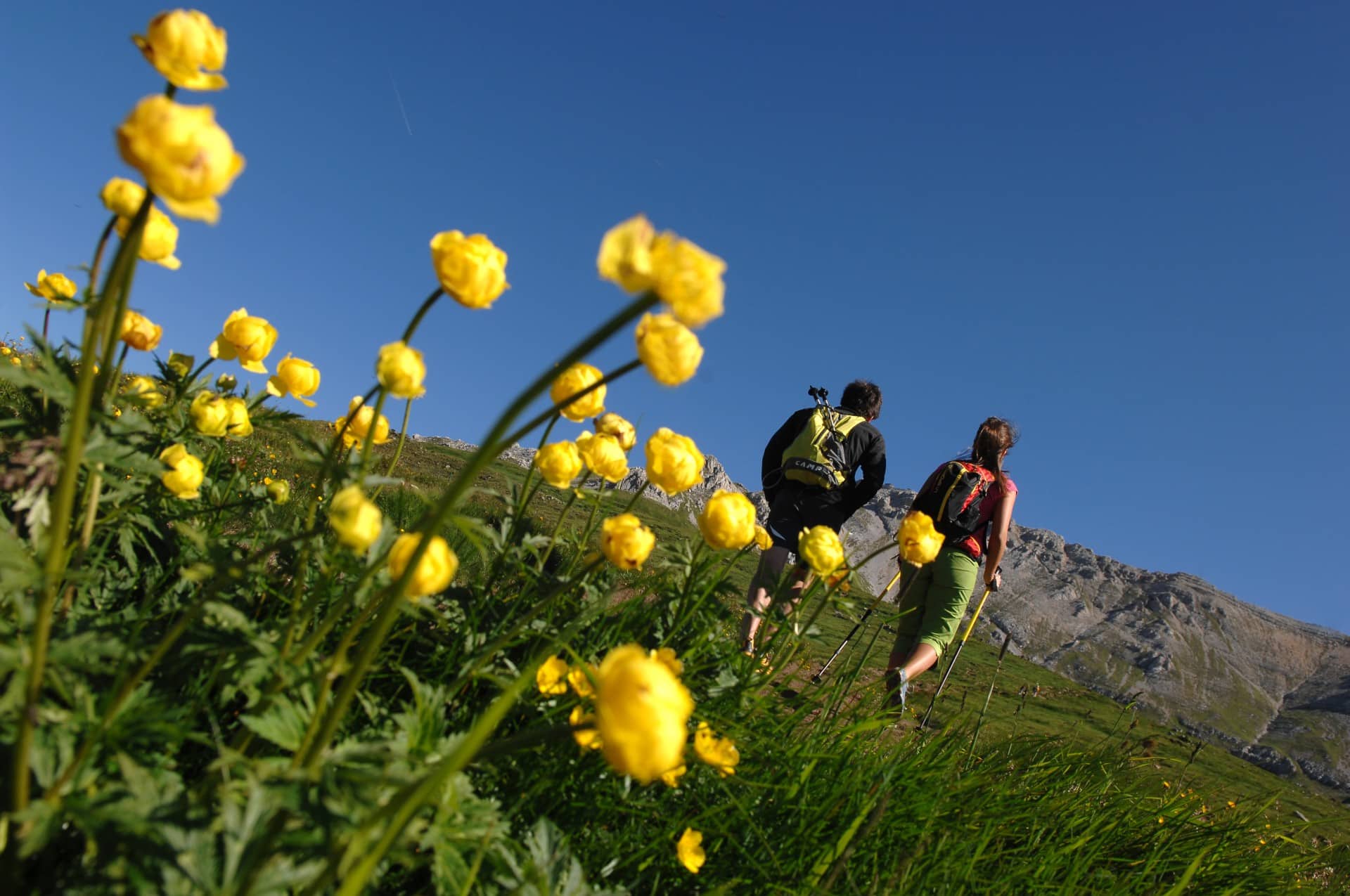 In Val di Fiemme sono numerosi i percorsi che gli amanti del trekking possono scegliere
