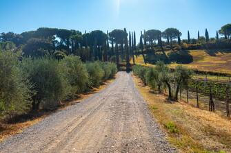 Landscape along Via Francigena, Tuscany