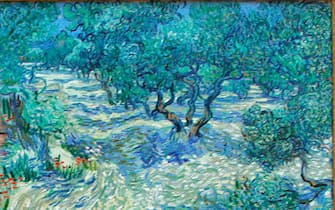 (FILES) File image taken April 23, 2009 shows a visitor looking at the painting "Olive Trees" (Saint-Remy, June/July 1889) by Dutch artist Vincent van Gogh at the Kunstmuseum in Basel, Switzerland. 
It was revealed by a Kansas City art museum on November 7, 2017 that when conservators at The Nelson-Atkins Museum of Art put this Vincent van Gogh painting under the microscope, they found an unlikely intruder: a grasshopper trapped in the canvas's painterly whirls for 128 years. Mary Schafer, a conservator at The Nelson-Atkins Museum of Art, came across the tiny dried, brown carcass in the lower foreground while studying the painting of olive groves. The find reflects the artist's practice of painting in the outdoors, where it was often windy enough to send dust, grass and insects flying.
 / AFP PHOTO / NICHOLAS RATZENBOECK / TO GO WITH AFP STORY by Olivia Hampton "There is a dead bug in the Van Gogh."        (Photo credit should read NICHOLAS RATZENBOECK/AFP via Getty Images)