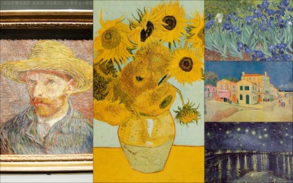 Dai Girasoli alla Notte stellata, le opere di Vincent Van Gogh. FOTO