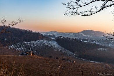 Il Pinot nero dell'Oltrepò: come bere (molto) bene, pagando il giusto