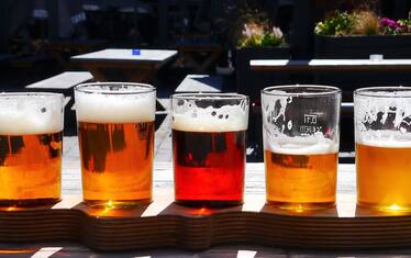 Giornata internazionale della birra: tutti i tipi di birra