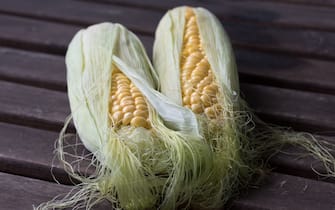 Fresh Corn on the Cob UNSPLASH