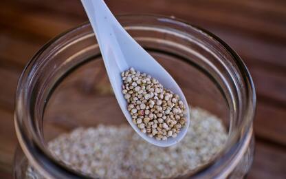 Le 3 migliori ricette con la quinoa facili e sfiziose da provare