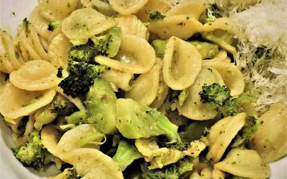Pasta con i broccoli, la migliore ricetta per un primo piatto leggero