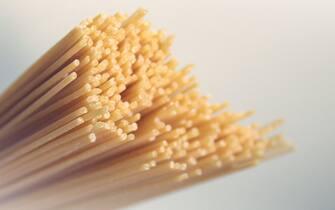 spaghetti spaghetti